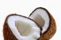 Кокосовый орех или кокос: полезен или вреден?