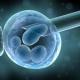 Новые репродуктивные технологии: мифы и реальность