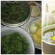 Рецепт зеленых щей, пошаговое приготовление щей с щавелем и крапивой